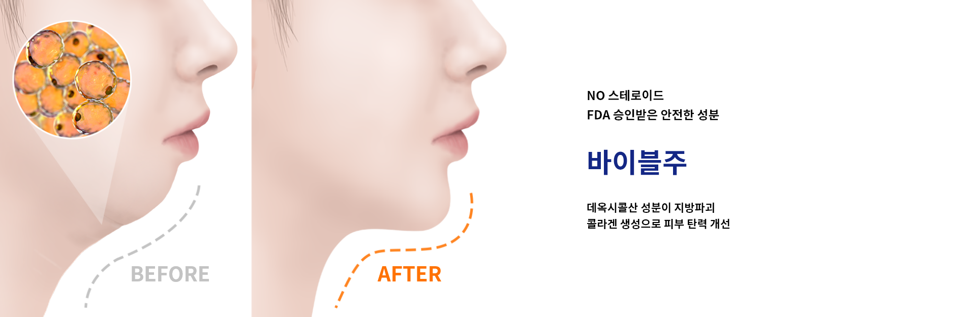 바이블주