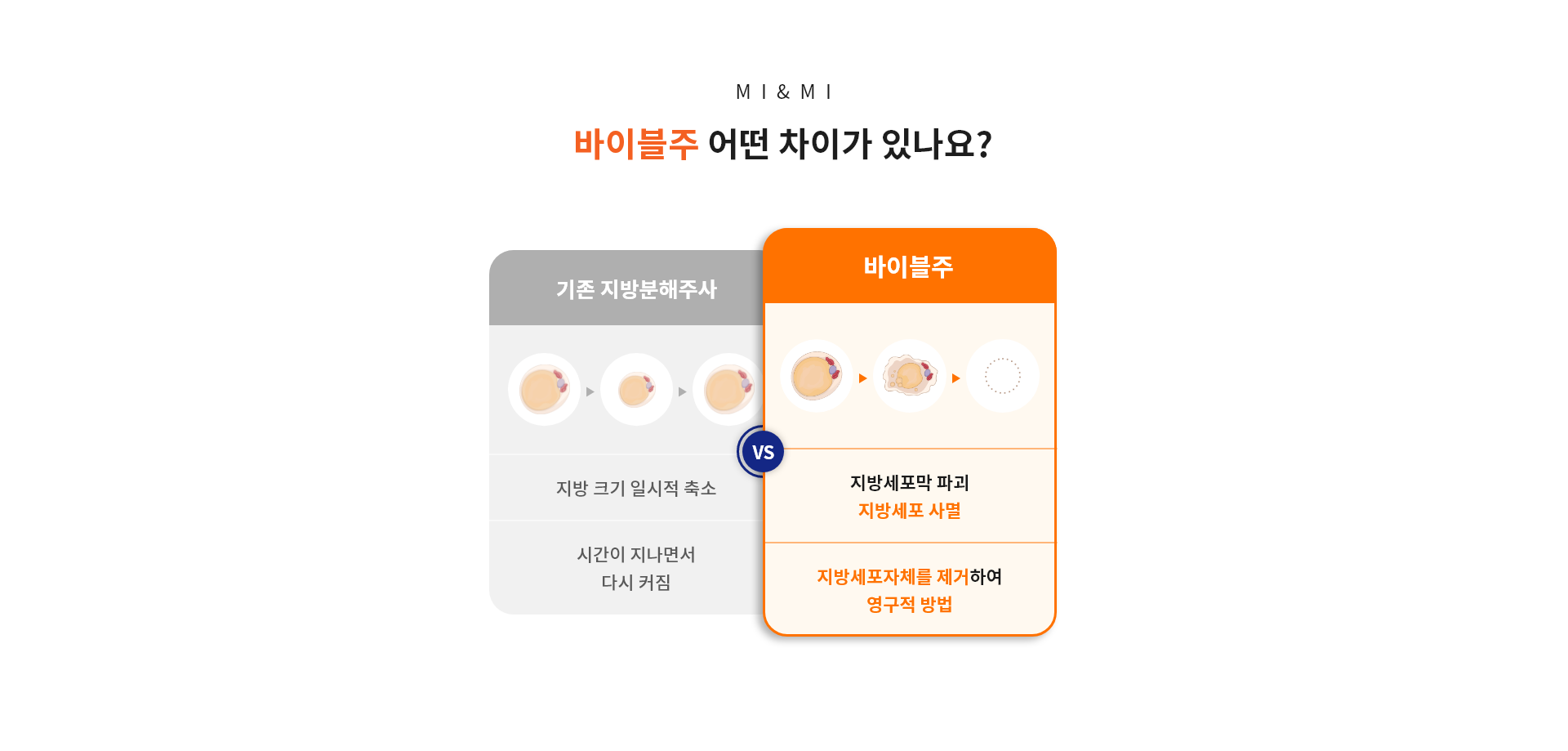바이블주 어떤 차이가 있나요?